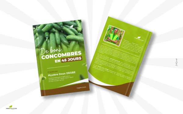Culture concombres