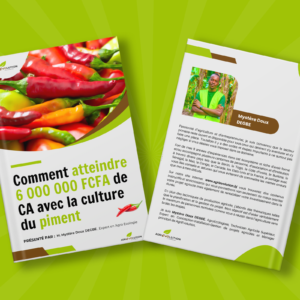 Culture de piment