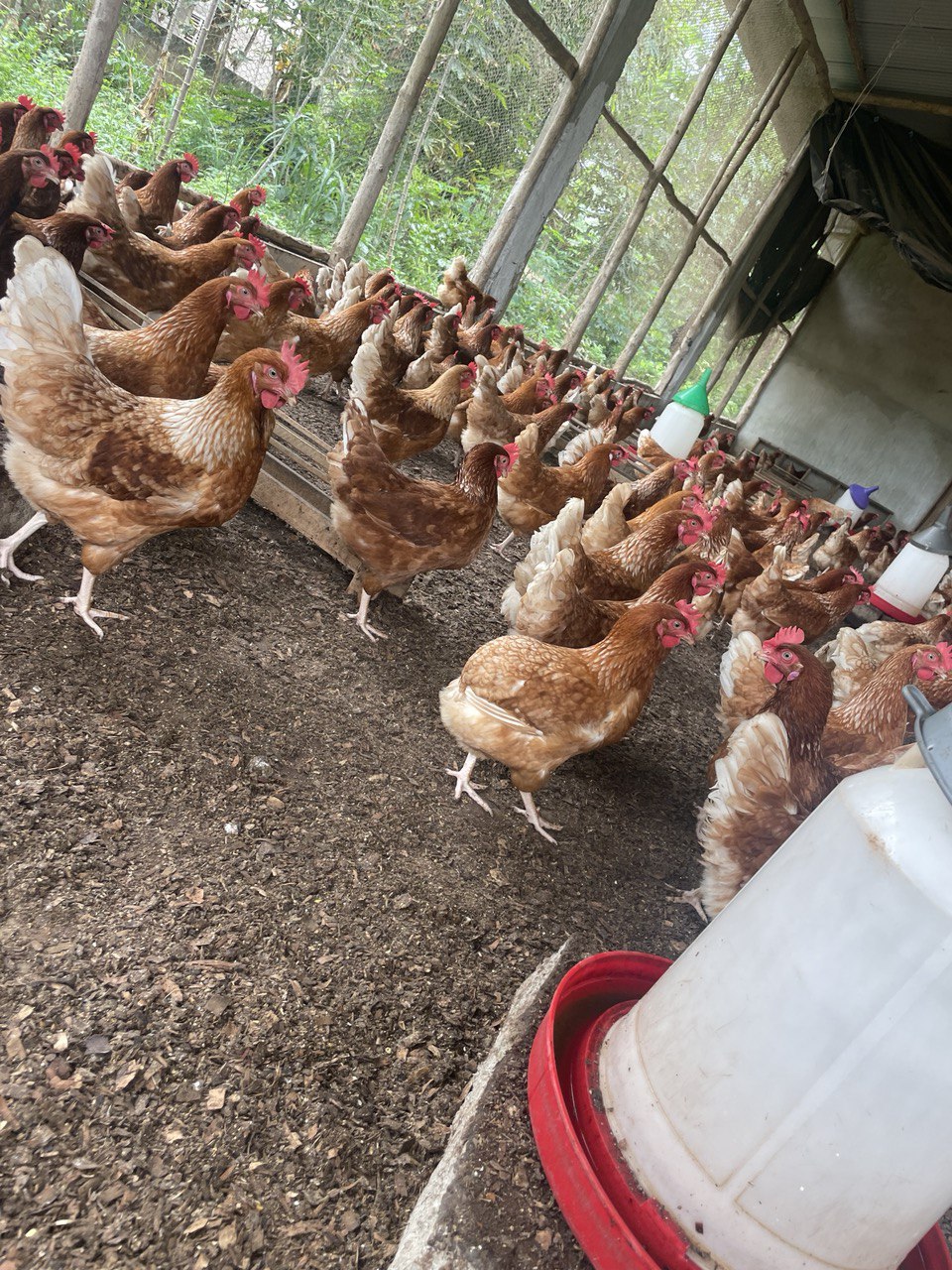 image-agrievolution_2023-10-31 17.23.47