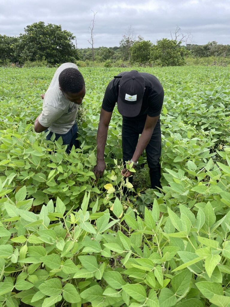 Formation AgriEvolution
