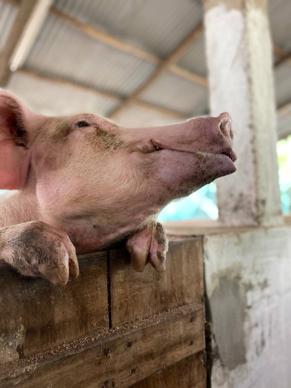 image-agrievolution_2023-10-31 17.24.34