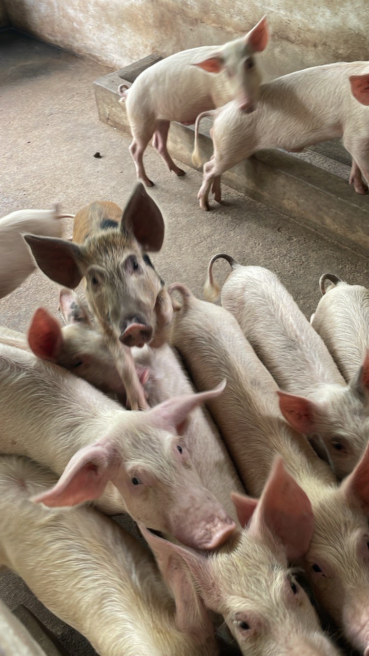 image-agrievolution_2023-10-31 17.24.57