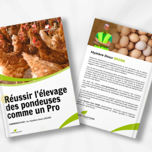 Réussir L'ÉLEVAGE DES POULES PONDEUSES comme un Pro !