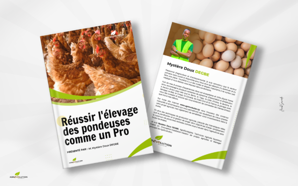 Réussir L'ÉLEVAGE DES POULES PONDEUSES comme un Pro !