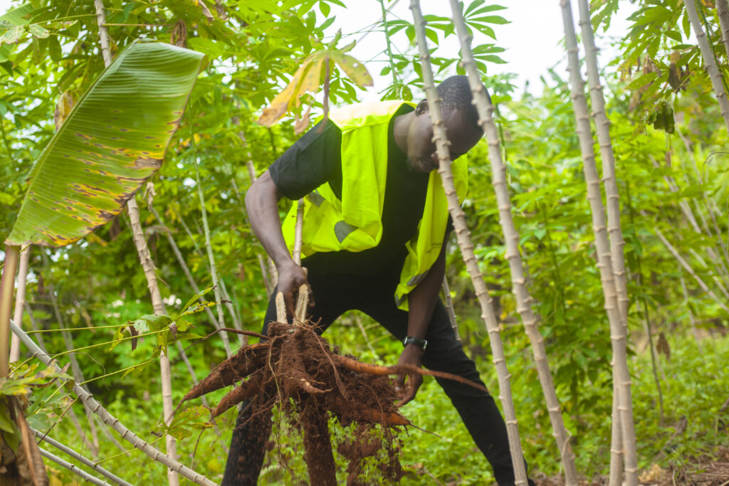 opter pour l’accompagnement et le suivi de votre projet agricole