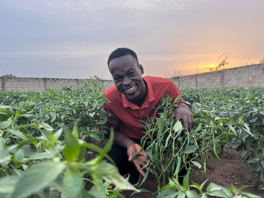 Agrievolution Recolte au champs